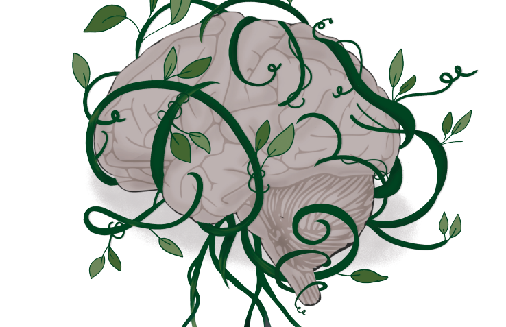 Brain with plants growing around it
