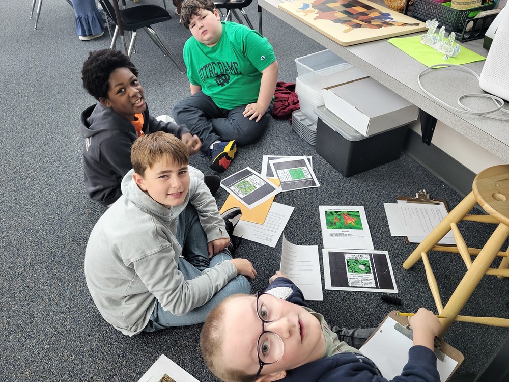 Upper El boy sin a cricle on the floor looking at clues