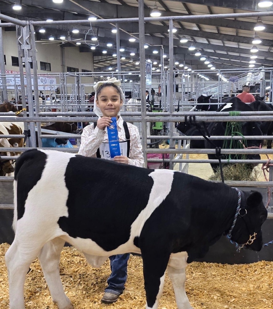 Andria won first place with her heifer. 