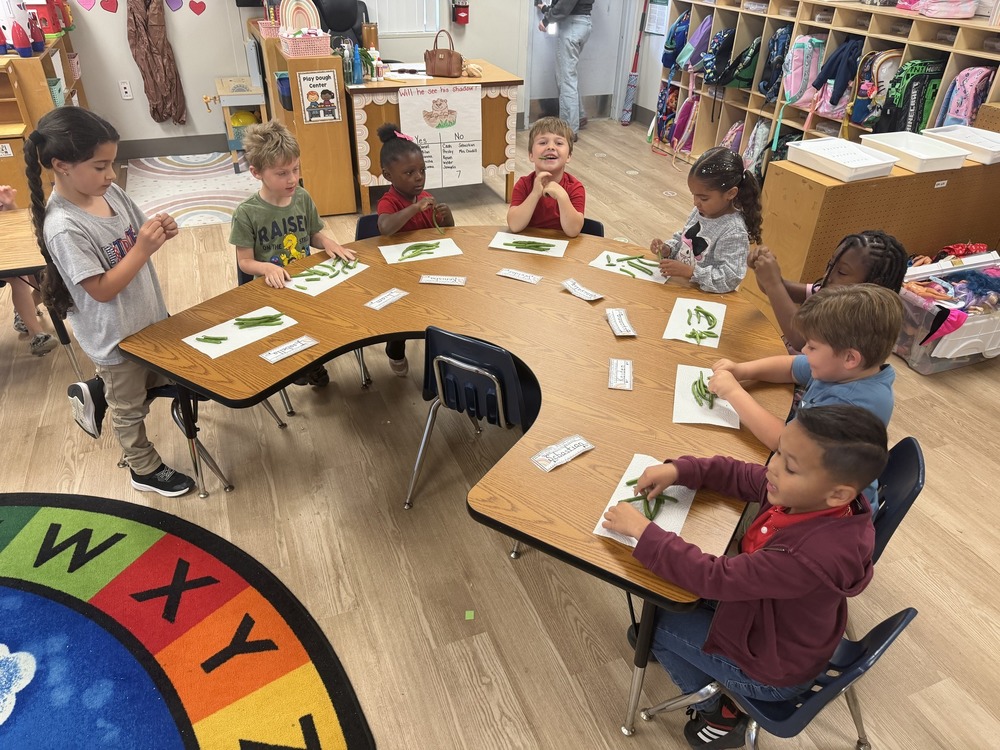 students peeling beans