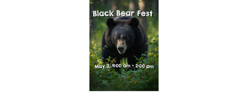 Black Bear Fest