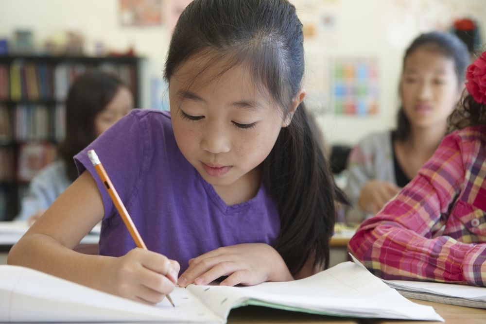 Elementary school student working in class