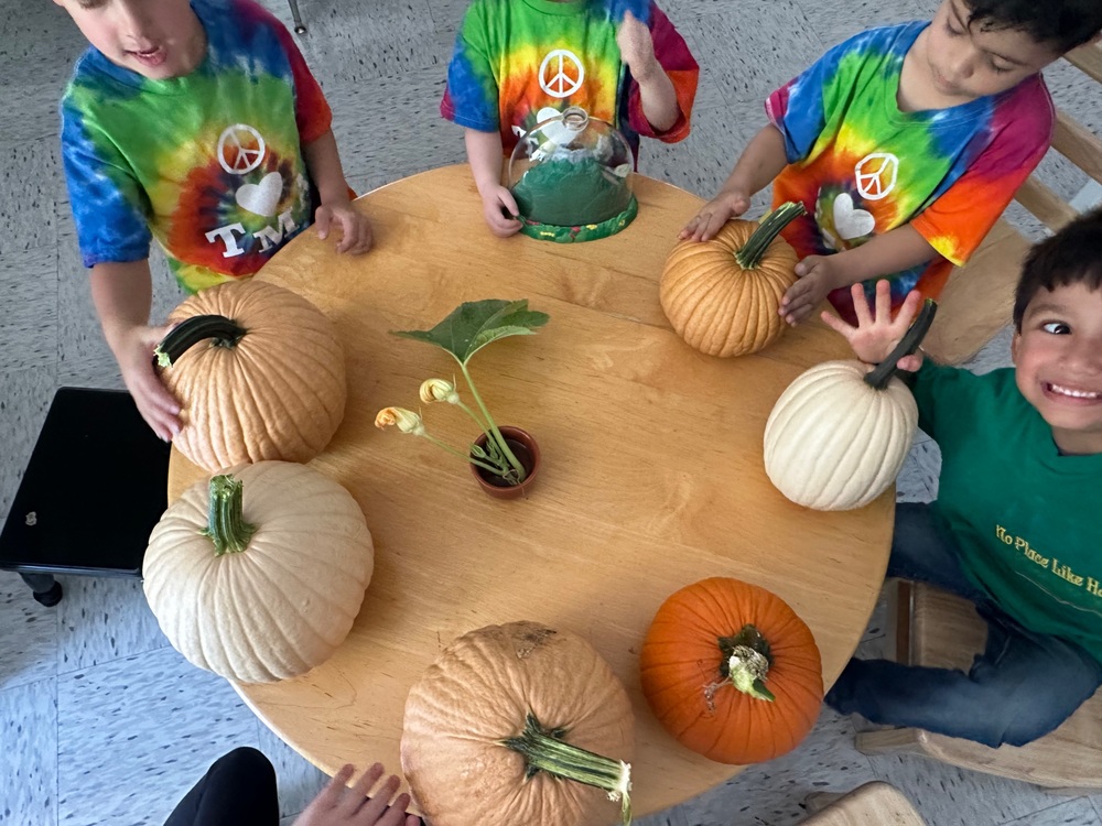 Children around a roudn table with 6 pumpkins of different colors