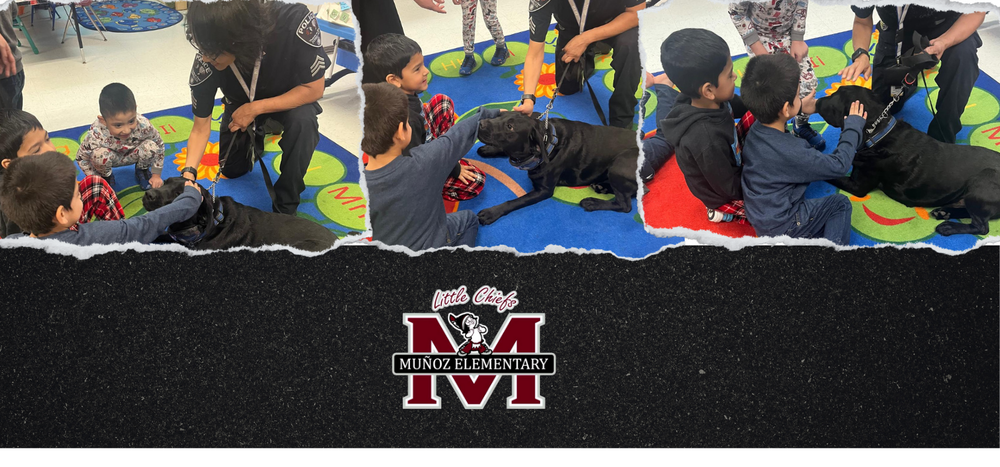 Kids playing with K9