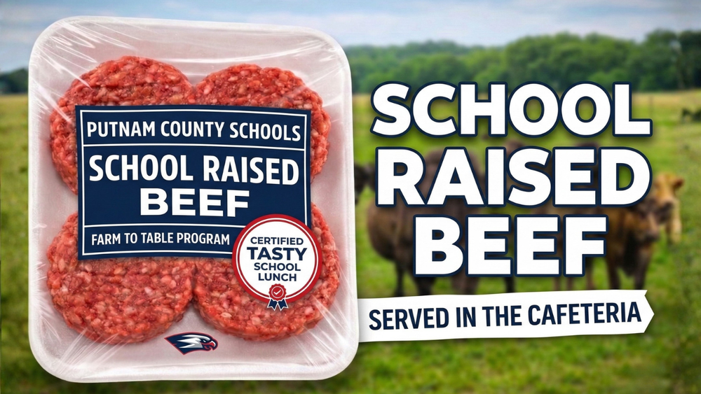 PCCSS Nutrition Beef Cow Video