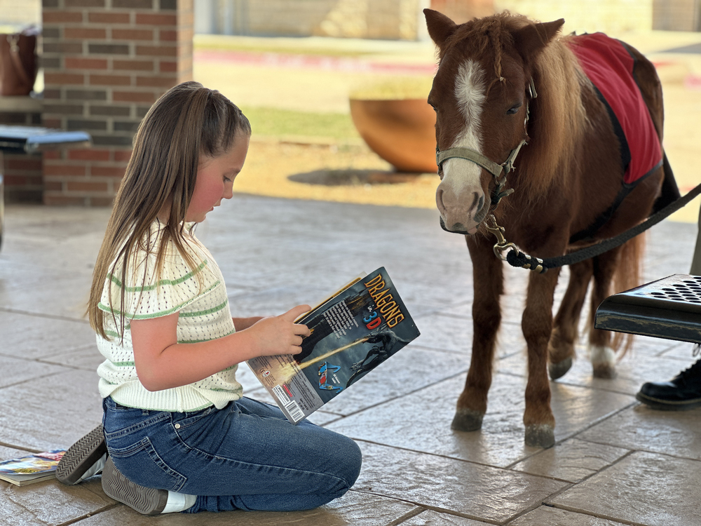 Spears Students Work on Reading Skills With Mini Horses