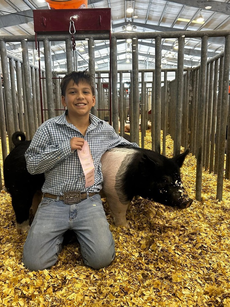 Student with Livestock