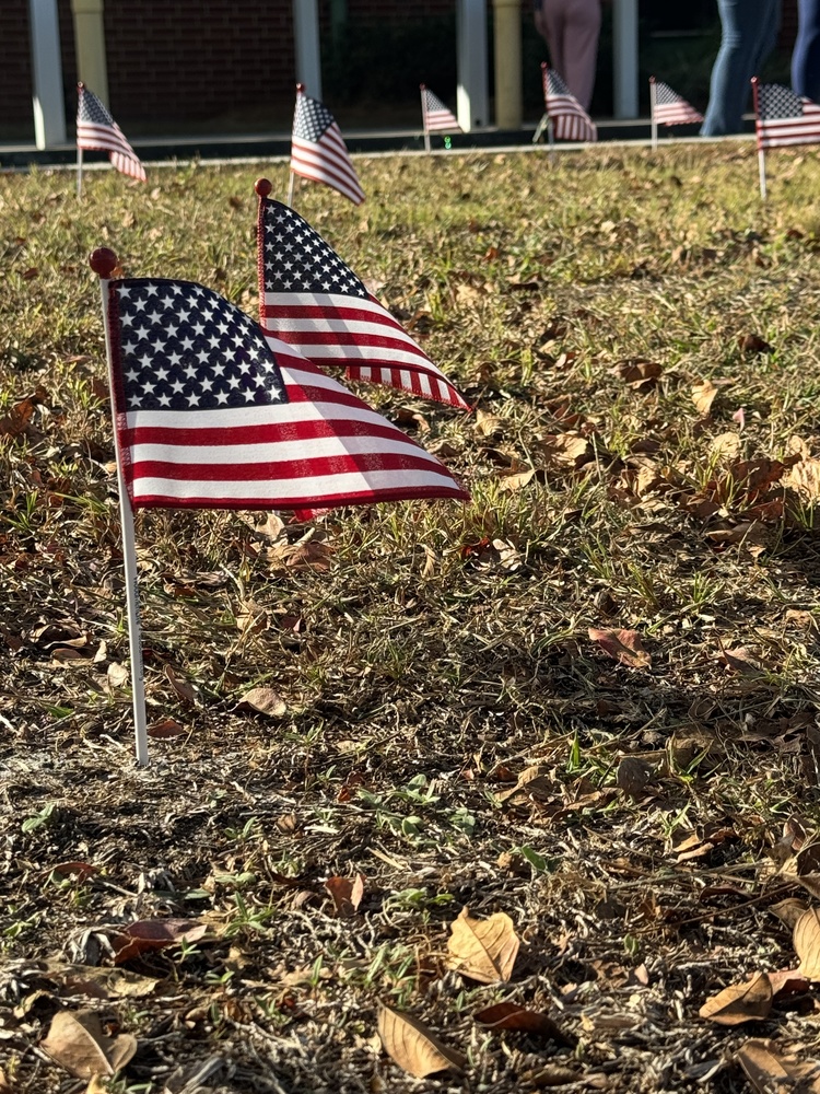 American flags "planted" by the school