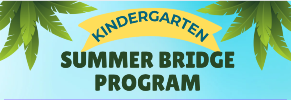 Kindergarten Summer Bridge Program Decorative Image with Palm Tree Leaves and a Yellow Banner