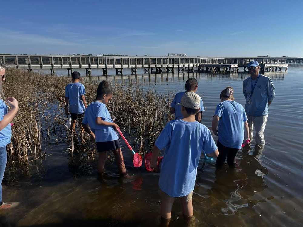 Students wading in water with nets