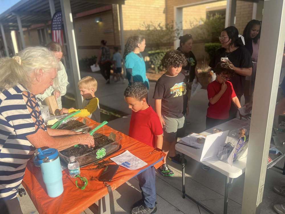 Students planting plants