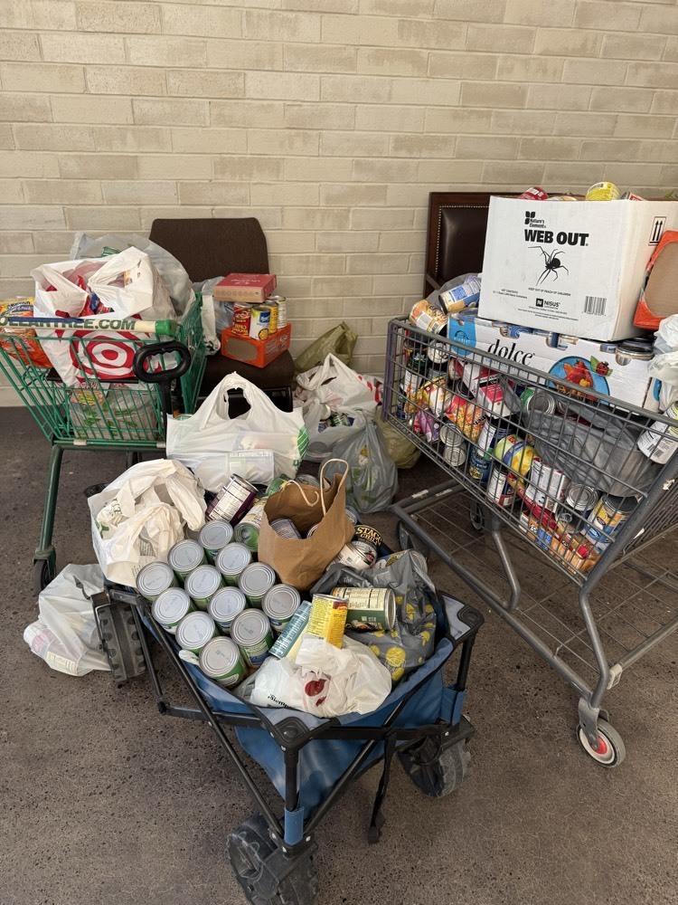 shopping carts and boxes full of can food.