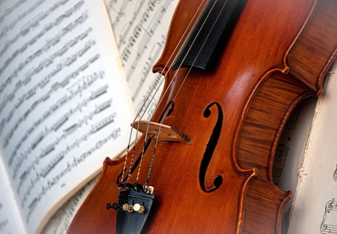 violin