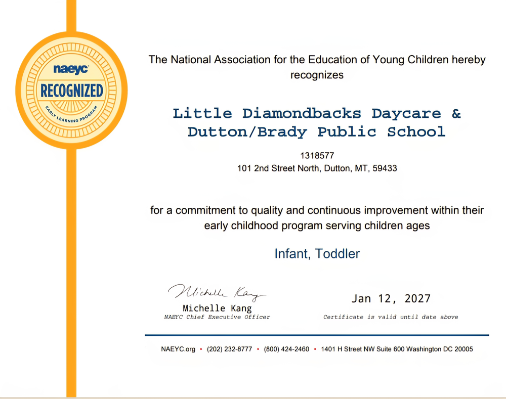 NAEYC recognition 