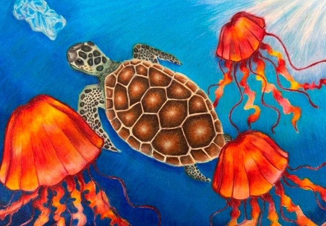 middle school art