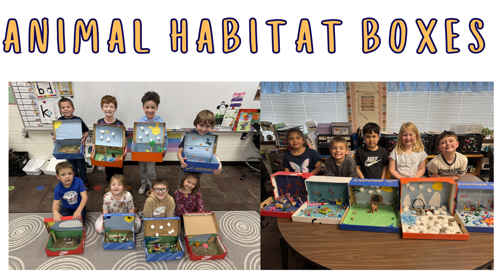 A classroom poster titled “Animal Habitat Boxes” shows two photos of young students proudly displaying shoebox habitat projects. In the left photo, a group of children stand and sit in a classroom while holding open shoebox dioramas decorated as different animal habitats with materials like cotton clouds, sand, grass, and small animal figures. In the right photo, several students sit behind a table where more shoebox habitats are lined up, including scenes that look like ocean, cave, desert, and polar environments made with craft supplies such as pipe cleaners, rocks, paper, and paint. The classroom background includes books, posters, and learning materials.