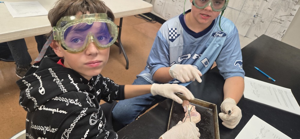 Students dissecting a chicken wing.