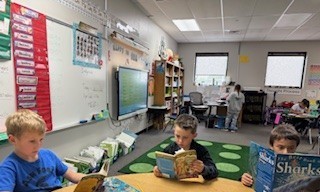 Choose high interest books.