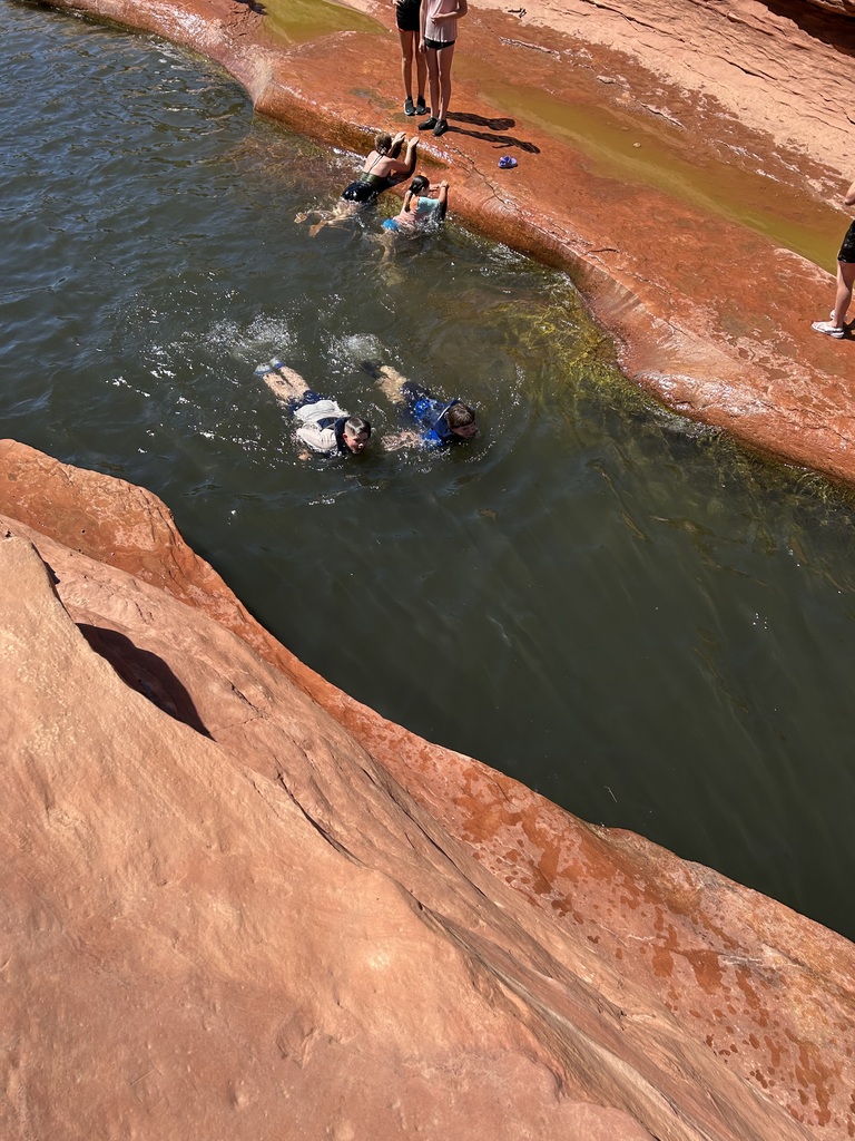 Swimming