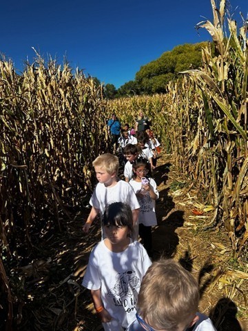 Kindergarten Corn Stalk