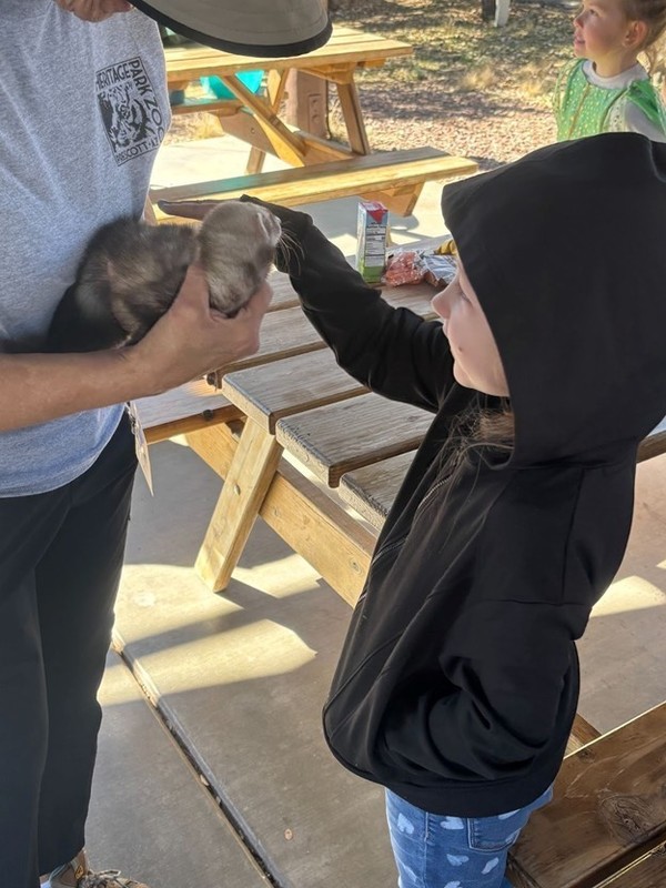 Student petting ferret