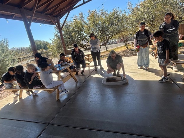 1st Grade watching ferrets 