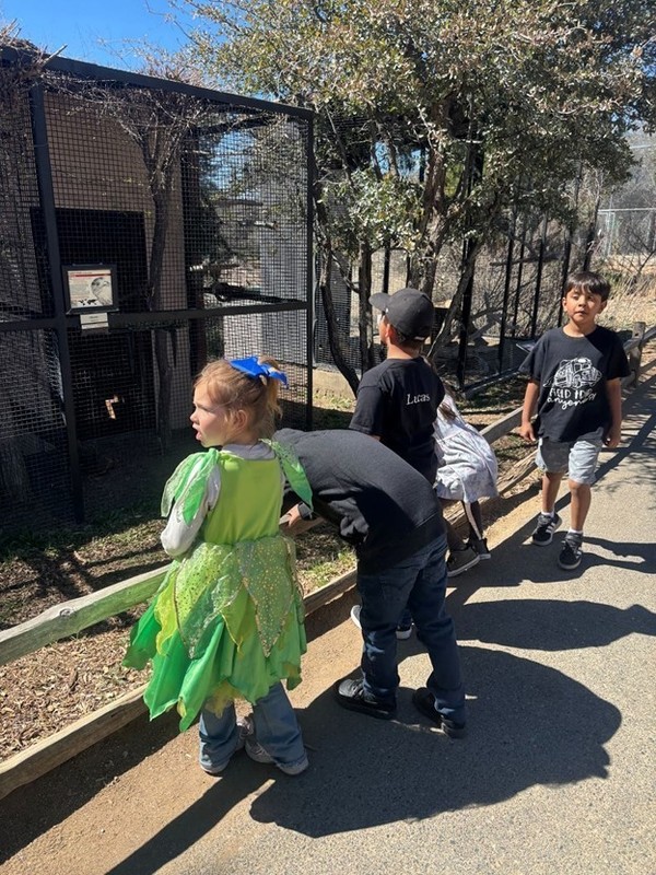 Group of 1st grade student checking out an exhibit