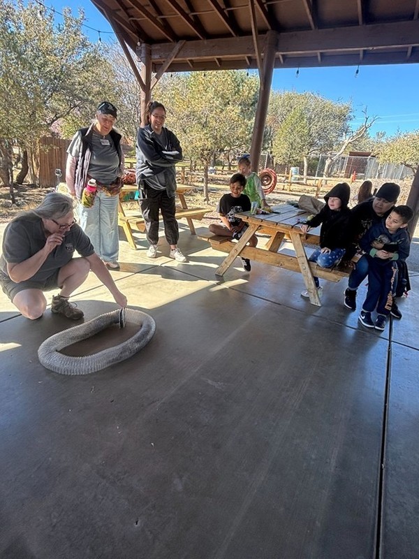 1st grade watching ferrets