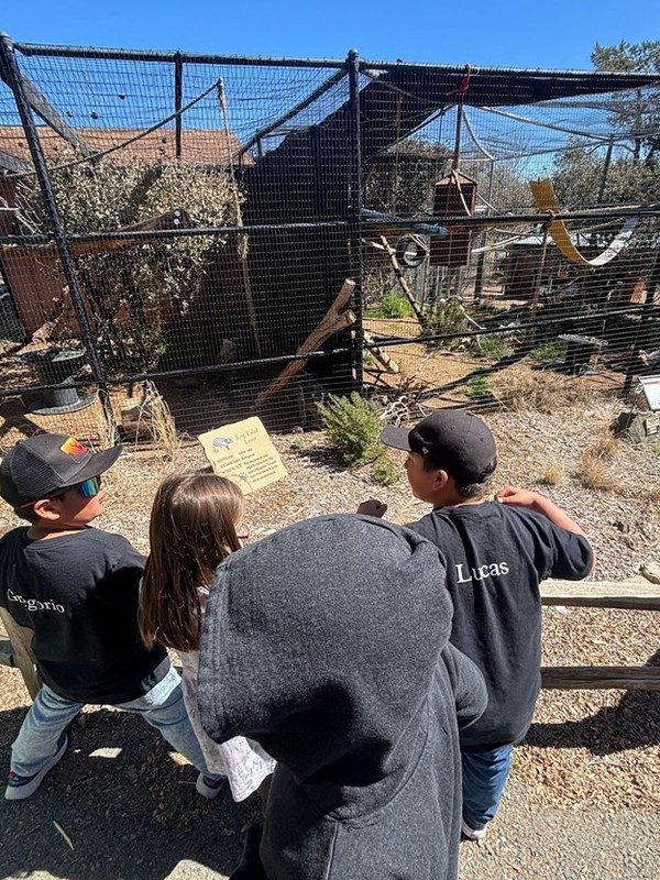 Group of 1st grade students checking out an exhibit