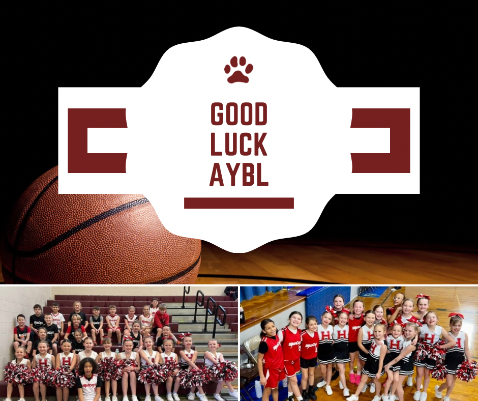 Good Luck AYBL