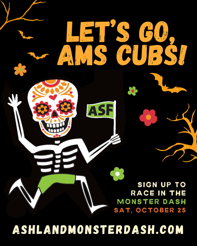 Monster Dash Go Cubs