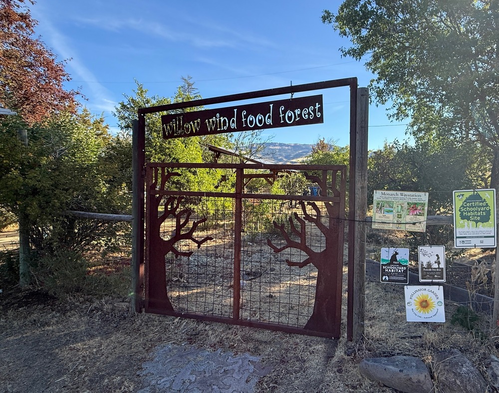 Food Forest