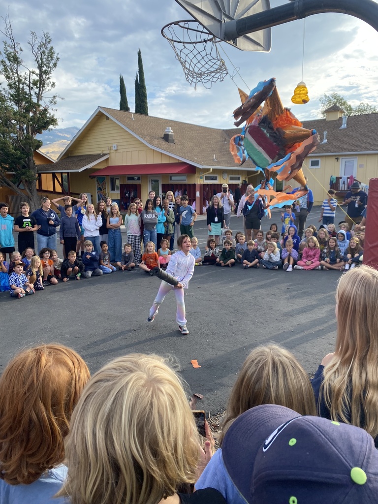 pinata