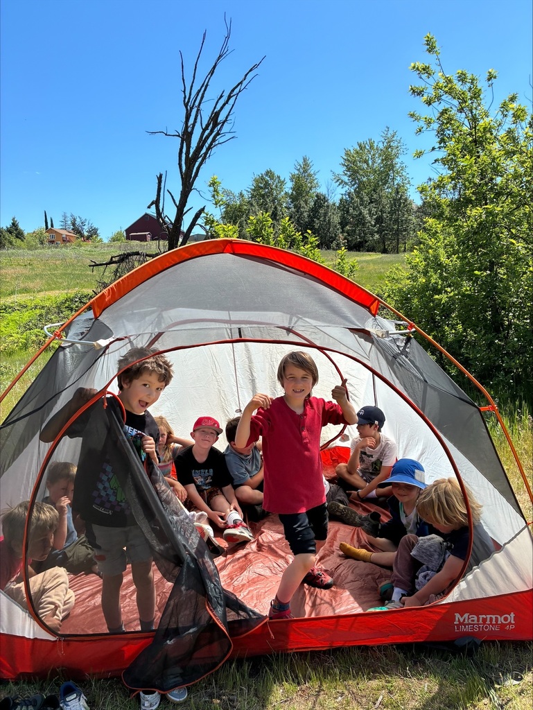 tent