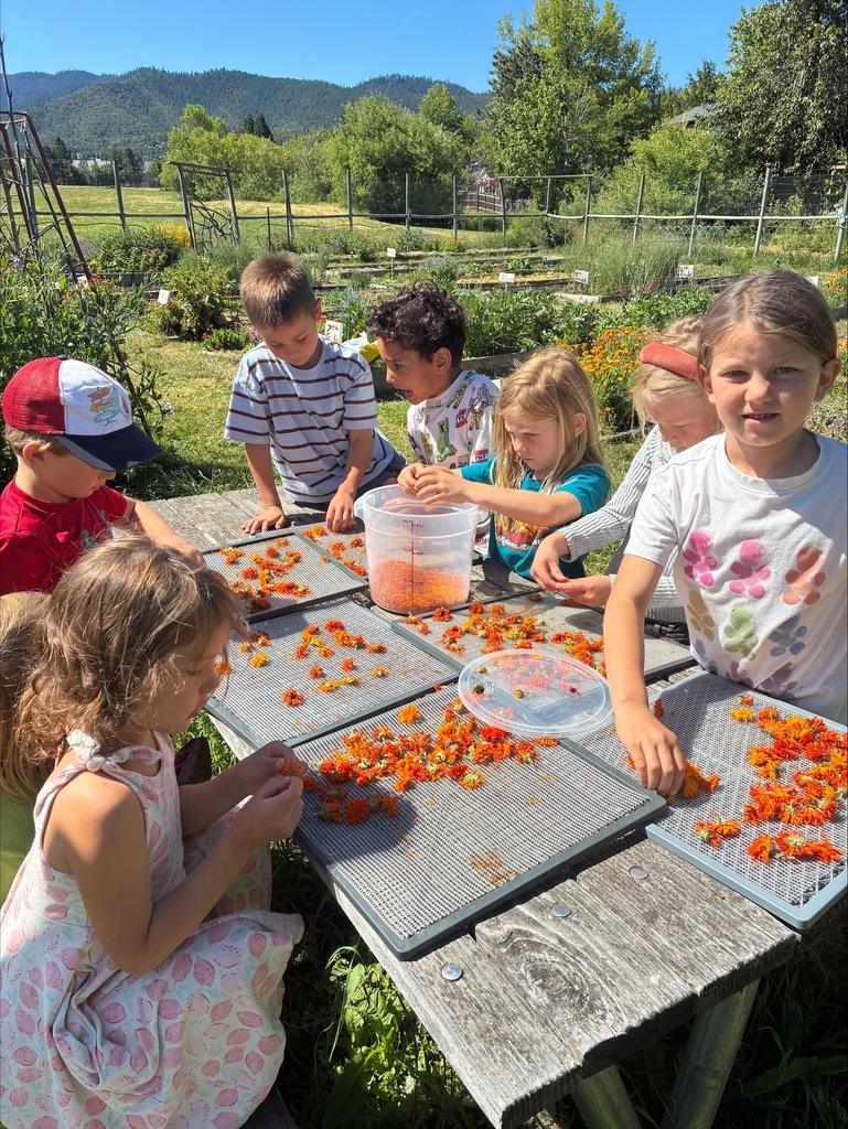 Kinders