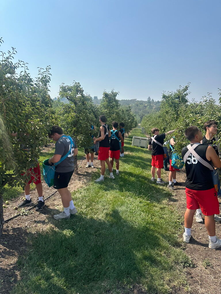 AHS Football players picking pears