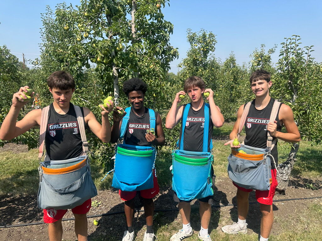 Pears in hand