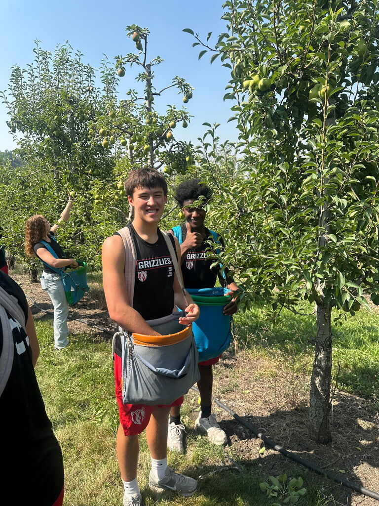 Pick a Pear and Smile