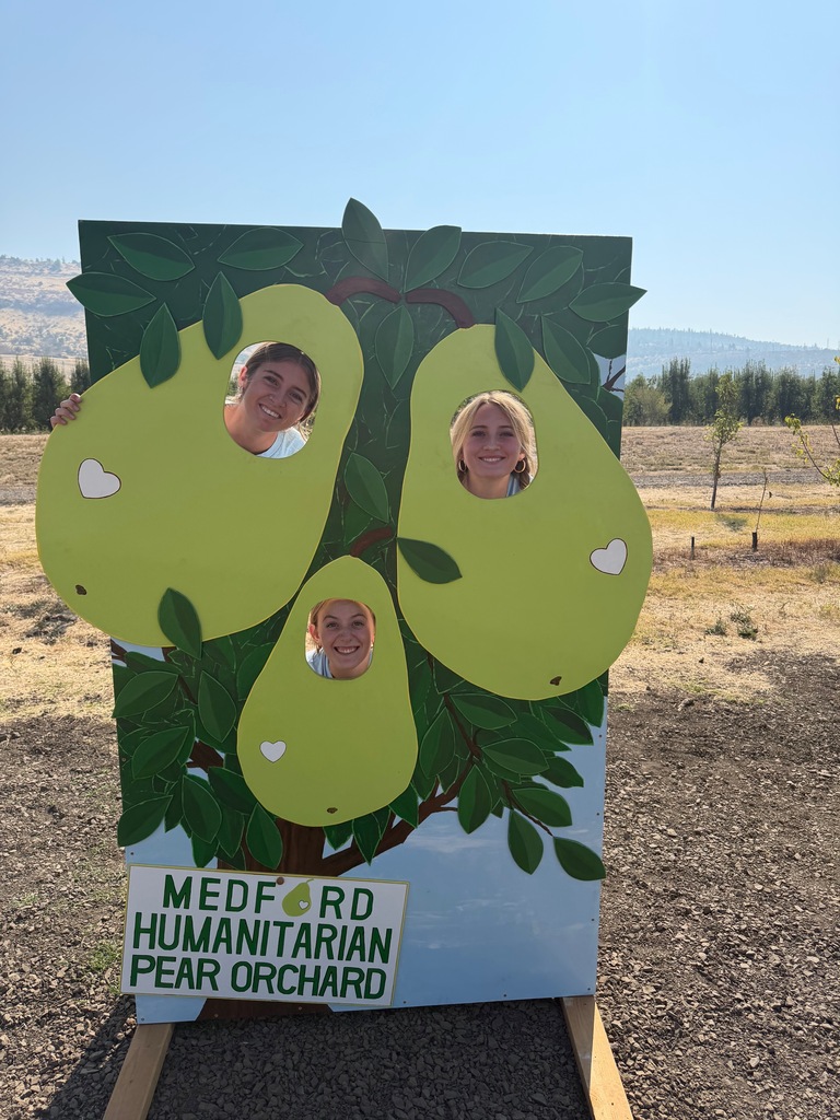 Soccer girls in pear face photo board