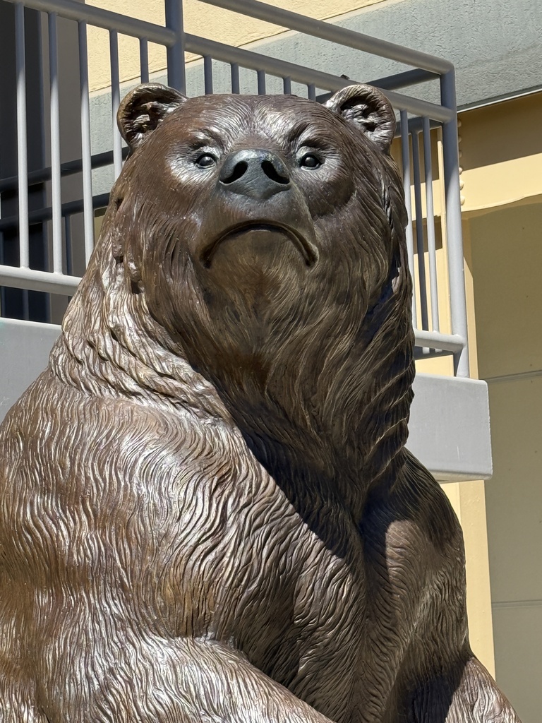 Bronze Quad Bear