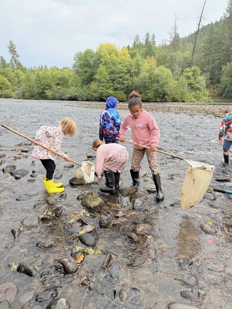 Collecting macroinvertebrates