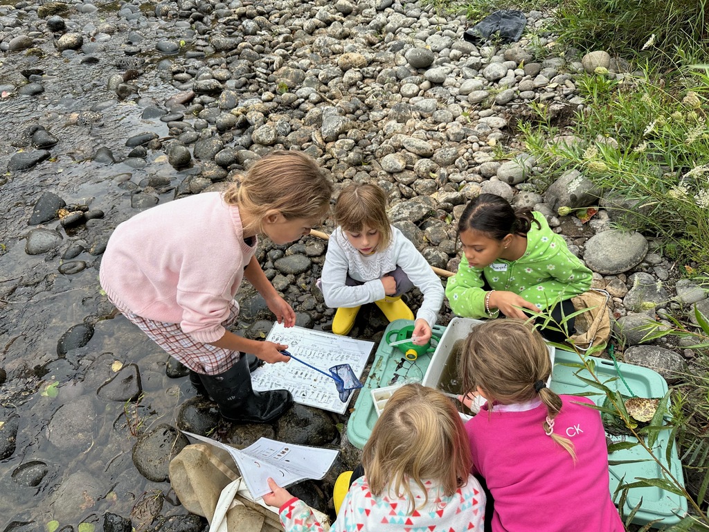 Using ID keys to investigate our finds