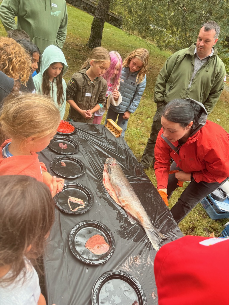 Learning salmon anatomy