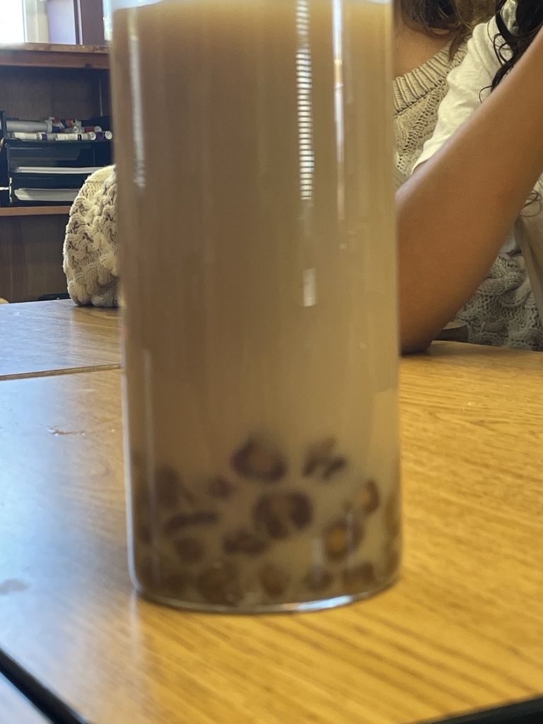 boba