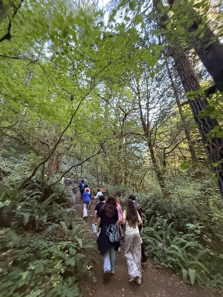 Hike through the trees