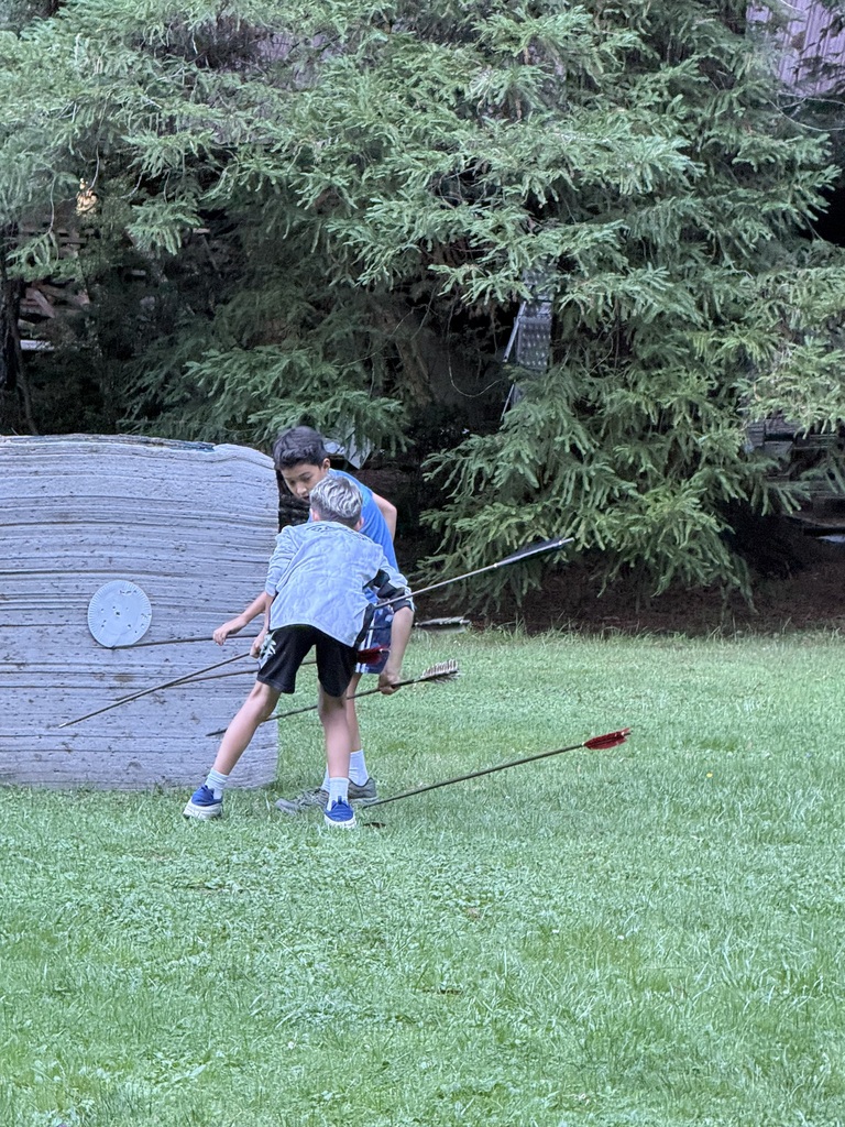 Retrieving arrows