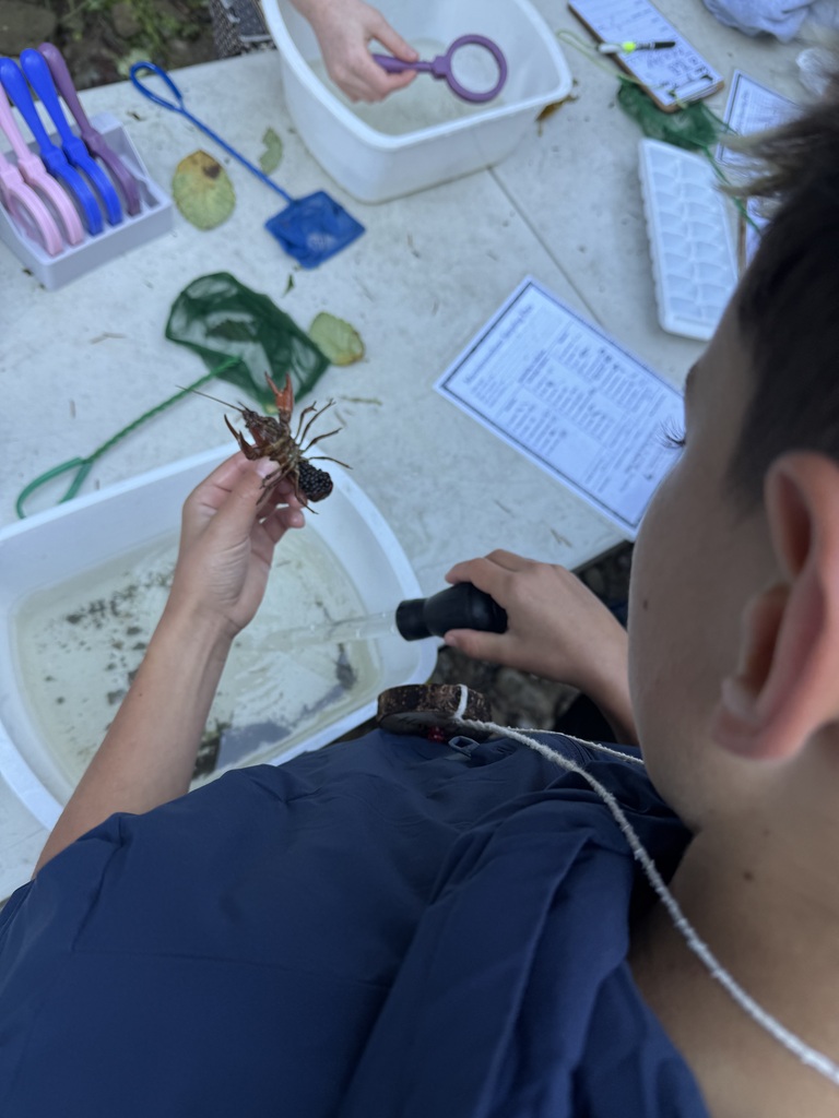 Inspecting large bug