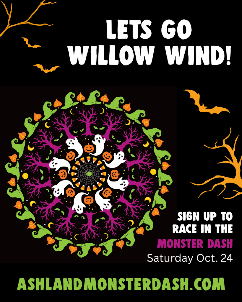 Willow Wind Monster Dash poster