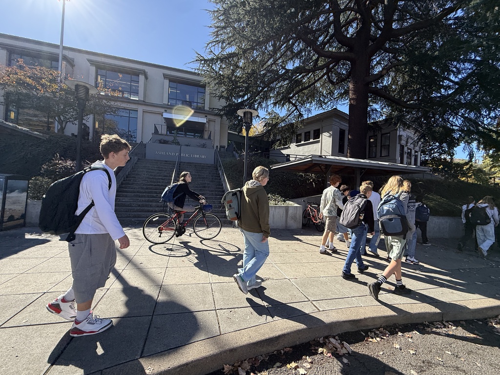 Walking by library
