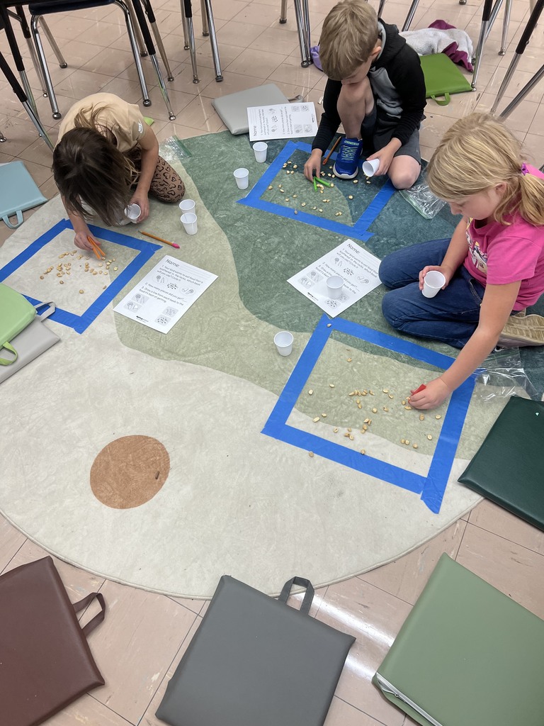 1st grade science